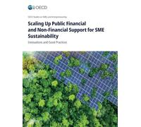 Scaling Up Public Financial and Non-Financial Support for SME Sustainability