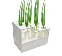 Scallion Regrower - Onion Reusable Onion Planter for Hydroponic, Spring Onion Sprouting Container, Leakproof Breathable Multi-Hole Planter | Regrowing Green Onions for Hydroponic Vegetable Planting