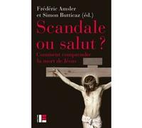 Scandale ou salut ? Frédéric Amsler (Auteur), Simon Butticaz (Auteur)