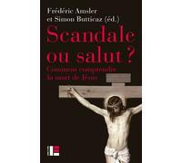 Scandale ou salut ? - Frédéric Amsler - Labor Et Fides - broché - Guide