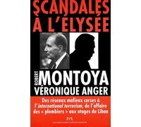 Scandales à l'Elysée: Des réseaux mafieux croses à l'international terrorism, de l'affaire des "plombiers" aux otages du Liban