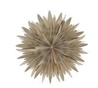 Scandi Living Étoile de l'avent beige à pois Luna 60 cm