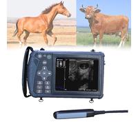 Scanner vétérinaire portable portable B-Ultra avec sonde 3,5 MHz pour détection de grossesse chez les porcs, truies, chèvres et moutons
