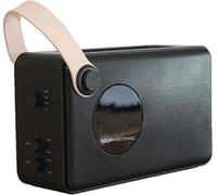 Scansonic PA4600 Portable DAB+/FM Radio met Bluetooth - Zwart