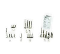 Scar Kit De Vis De Moteur Stimengte250i
