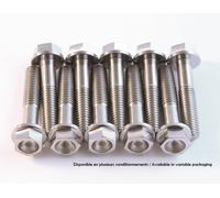 SCAR Kit vis titane M6x10 par 2