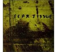 Scar Tissue - Tmotd