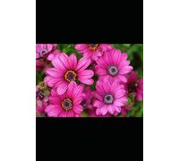 Scarred, Not Broken: A Breast Cancer Survivor's Story