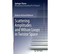 Scattering Amplitudes And Wilson Loops In Twistor Space (Springer Theses)