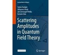 Scattering Amplitudes In Quantum Field Theory