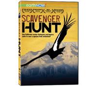 Scavenger Hunt