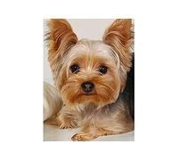SCDSM Broderie Point de Croix,Yorkshire Terrier,Canevas Point de Croix Kit Complet pour Adultes Débutant,DIY 11CT Kit Point de Croix pour Art Décoration Maison Salon Chambre 40x50cm
