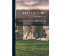 Scela Na Esergi: A Treatise On The Resurrection: Now Printed For The First Time, From The Original Irish In, A Ms. In The Library Of Th