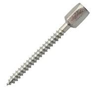 Scell-it Piton femelle PAVB PFWM6 pour tige filetée 6x100 – boîte de 50