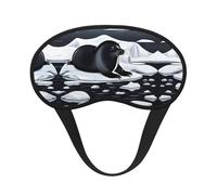 Scelle sur la glace. C'est un masque pour les yeux à bord noir. Le masque doux pour les yeux peut améliorer la qualité du sommeil et est adapté pour l'intérieur, l'extérieur et les voyages.