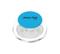 Scénario rétro de Jerome Park Bronx, Quartier de New York, Quartier de New York PopSockets PopGrip pour MagSafe