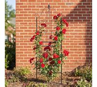SCENDOR 1 lot de treillis pour plantes grimpantes d'extérieur 150 cm H x 55,9 cm l - Antirouille - Robuste - Structure de support pour plantes grimpantes - Concombre, tomate, rose, légumes