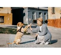 Scène chaleureuse et Confortable - Jeu de Puzzle en Bois de 1000 pièces : Un Jouet de Divertissement Familial Stimulant pour Le Cerveau (14 Ans+)