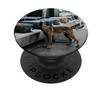 Scène de Balayage des Bagages de sécurité de l'aéroport Malinois Belge PopSockets PopGrip Adhésif