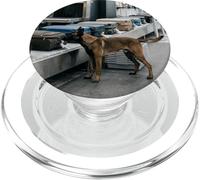 Scène de Balayage des Bagages de sécurité de l'aéroport Malinois Belge PopSockets PopGrip pour MagSafe
