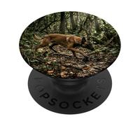 Scène de Piste de Suivi de la forêt malinoise Belge PopSockets PopGrip Adhésif