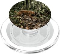 Scène de Piste de Suivi de la forêt malinoise Belge PopSockets PopGrip pour MagSafe