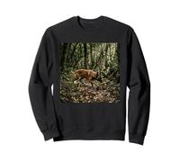 Scène de Piste de Suivi de la forêt malinoise Belge Sweatshirt