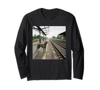 Scène de Voie Industrielle de Plate-Forme ferroviaire de Weimar Manche Longue