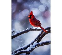 Scène D'Hiver : Cardinal Rouge Dans La Neige Sur Une Branche Drapeau De Jardin Décoratif Garden Flag Résistant Aux Intempéries Drapeau Pour Pelouse Porche Bar 30X45Cm