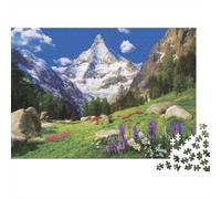 Scène Paysage Montagne Casse-tête 1000 Pièces en Carton Recyclé, Puzzle Complexe défi Entre Amis pour Un Tableau À Encadrer, Superbe Idée Cadeau 52x38cm/1000pcs
