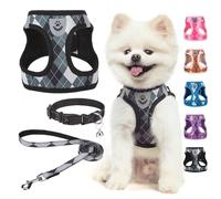 SCENEREAL - Ensemble Harnais et Laisse pour Chien et Chien de Petite et Moyenne Taille - Harnais réfléchissant en Maille Douce et Anti-Chute