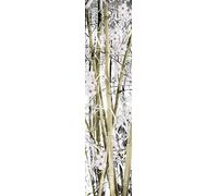 Scenolia Poster vertical déco ASIAN MIX 60 x 240 cm | Déco murale Qualité HD