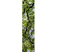 Scenolia Stickers géant papier peint déco RAMAGE 60 x 240 cm | Déco murale Qualité HD