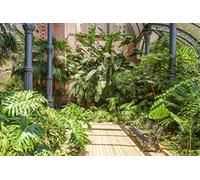 Scenolia Tableau décoratif Grand Format sur Toile Jardin Barcelona 90 x 60 cm | Impression Haute qualité