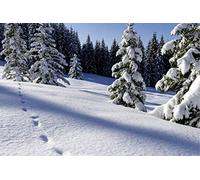 Scenolia Tableau décoratif Grand Format sur Toile Les Gets 90 x 60 cm | Impression Haute qualité