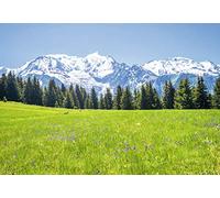 Scenolia Tableau Grand Format sur Toile Paysage Mont Blanc 130 x 90 cm | Décoration Murale Tendance Actuelle, Fait en France