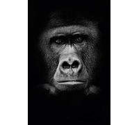 Scenolia Tableau Impression sur Toile Gorille 60 x 90 cm | Fabrication 100% en France Haute qualité