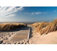 Scenolia Tableau Plexi déco & Design Chemin des Dunes 70 x 50 cm | Déco Murale Qualité HD