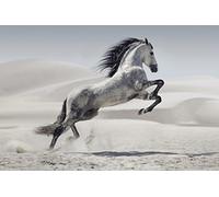 Scenolia Tableau Plexi déco & Design Cheval dans Le Desert 70 x 50 cm | Déco Murale Qualité HD