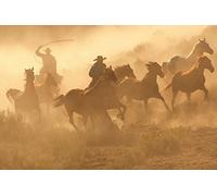 Scenolia Tableau Plexi déco & Design Cowboy 70 x 50 cm | Déco Murale Qualité HD