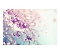 Scenolia Tableau sur Toile Fleurs du Japon 60 x 40 cm | déco Murale 100% Fabrication française