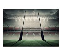 Scenolia Tableau sur Toile Stade DE Rugby 60 x 40 cm | déco Murale 100% Fabrication française