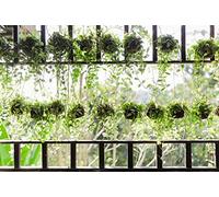 Scenolia Tapisserie déco poster JARDINIERE SUSPENDUE 3 x 2,70 m | Déco et photo murale XXL Qualité HD
