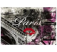 Scenolia Tapisserie déco poster PALAIS ROYAL 3 x 2,70 m | Déco et photo murale XXL Qualité HD