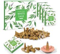 Scent-Hi Cônes d'Encens Sauge Blanche Naturel - White Sage pour Méditation, Odeur Relaxante, Bien-être Naturel - 120 Cônes en 8 Boîtes de 15 avec 2 Supports - Cadeau de Noël