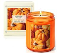 SCENTORINI Bougie Parfumée Citrouille, 55h, à la Cire de Soja Naturelle, Idée Cadeau pour Noël, Anniversaire Femme, la Fête des Femmes/des Mères, la St Valentin