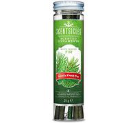 Scentsicles Décoration de Noël Sapin Blanc d'hiver - Bâton parfumé, Vert