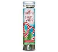 Scentsicles Décorations de Noël parfumées en sucre d'orge avec crochets - 1 bouteille (6 bâtons au total)