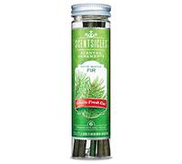Scentsicles Ornements de Noël parfumés pour Sapin de Noël, désodorisant Naturel pour Les fêtes (Parfum Sapin d'hiver Blanc) avec 6 Ornements et Crochets