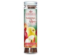 Scentsicles Parfum d'ambiance pour votre maison | Bâtonnets parfumés Apple & Autumn (6 pièces) | Bâtonnets parfumés pour le parfum d'automne à la maison | Bâtonnets parfumés avec une longue durée de